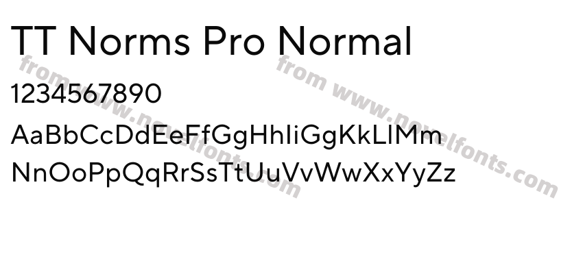 TT Norms Pro NormalPreview