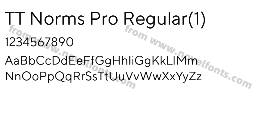 TT Norms Pro Regular(1)Preview
