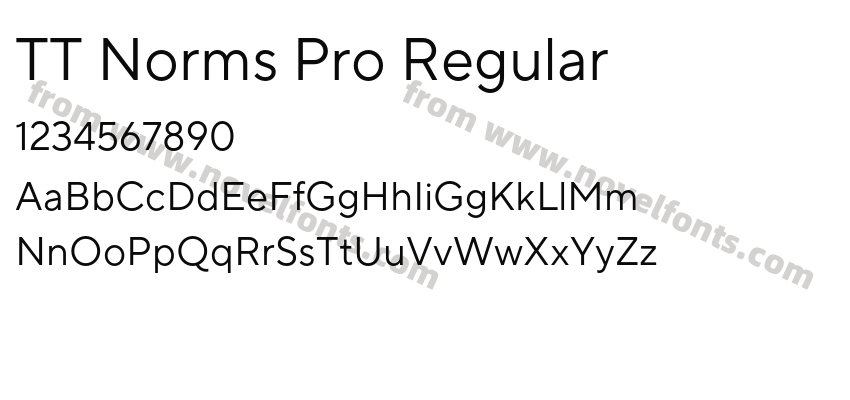 TT Norms Pro RegularPreview
