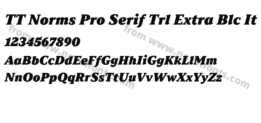 TT Norms Pro Serif Trl Extra Blc ItPreview