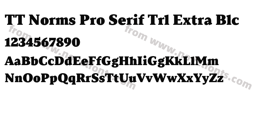 TT Norms Pro Serif Trl Extra BlcPreview