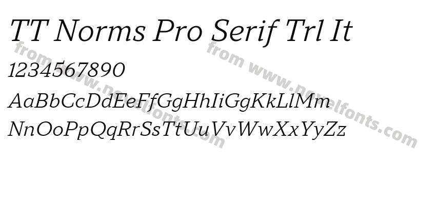 TT Norms Pro Serif Trl ItPreview