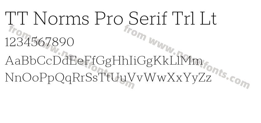TT Norms Pro Serif Trl LtPreview