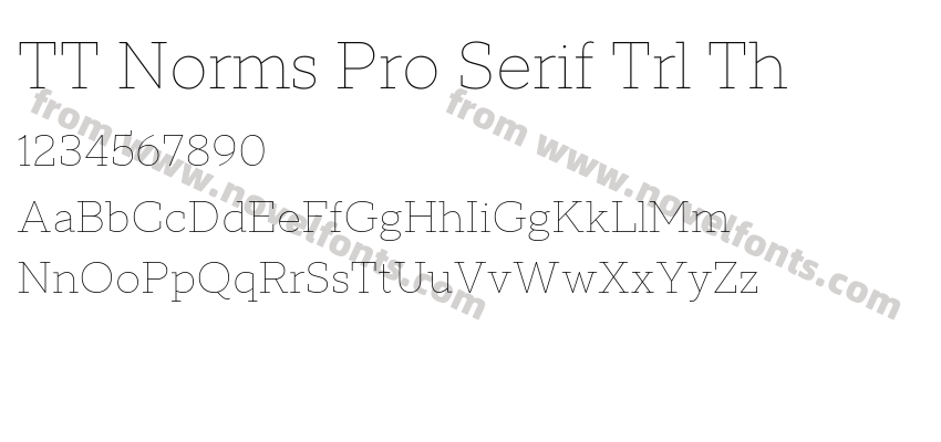 TT Norms Pro Serif Trl ThPreview