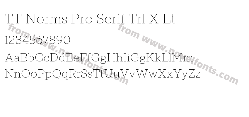 TT Norms Pro Serif Trl X LtPreview