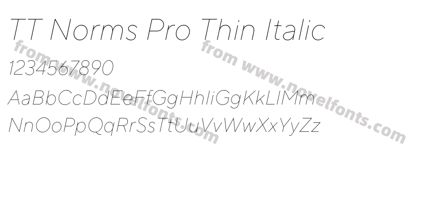 TT Norms Pro Thin ItalicPreview