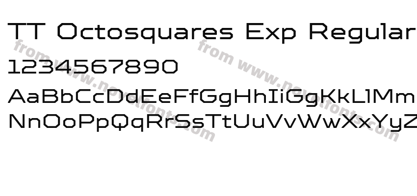 TT Octosquares Exp RegularPreview