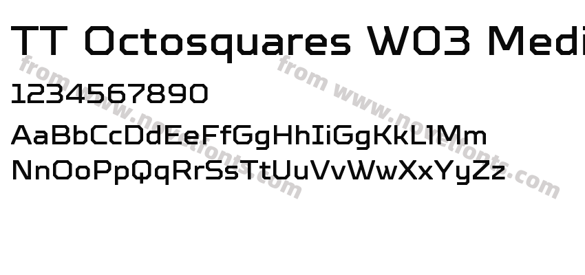 TT Octosquares W03 MediumPreview