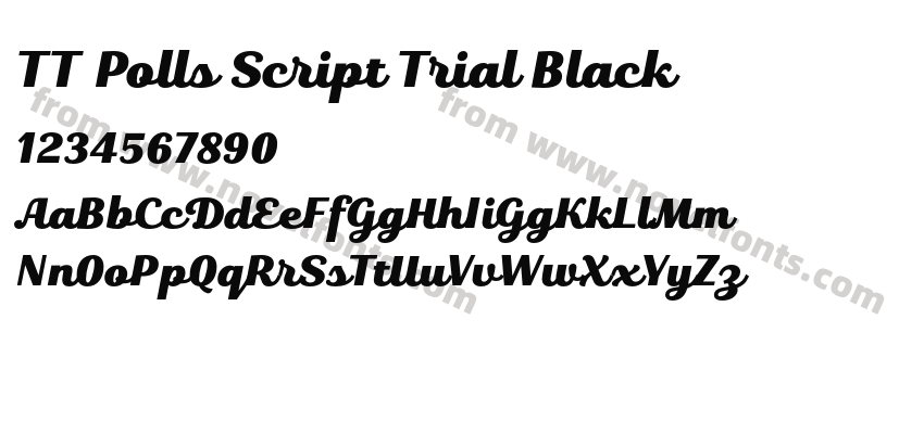 TT Polls Script Trial BlackPreview