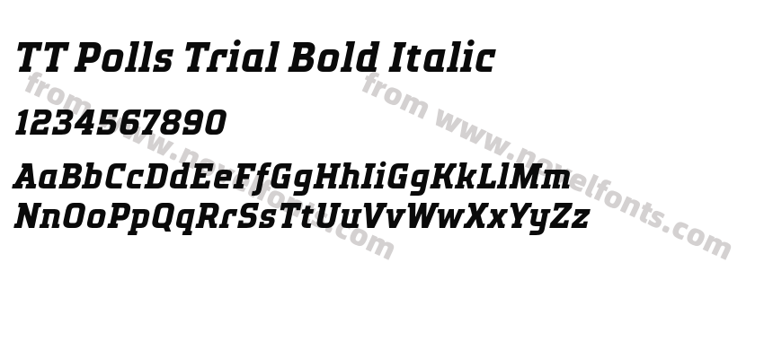 TT Polls Trial Bold ItalicPreview