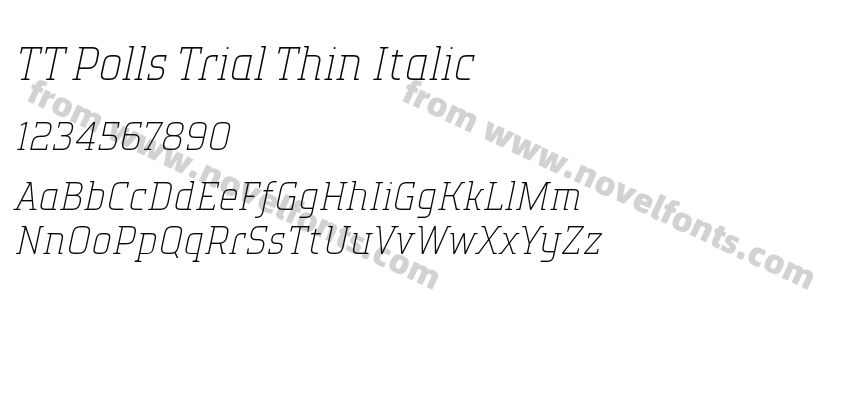 TT Polls Trial Thin ItalicPreview