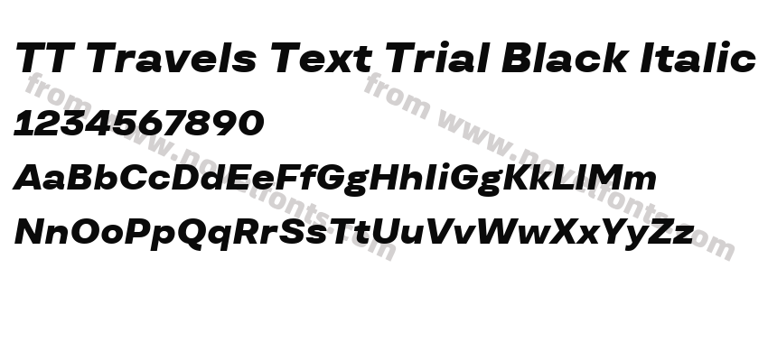 TT Travels Text Trial Black ItalicPreview