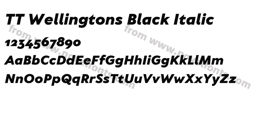 TT Wellingtons Black ItalicPreview
