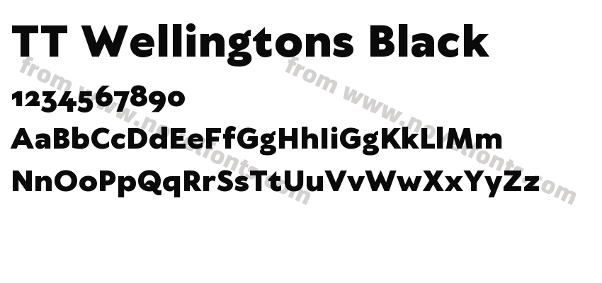 TT Wellingtons BlackPreview