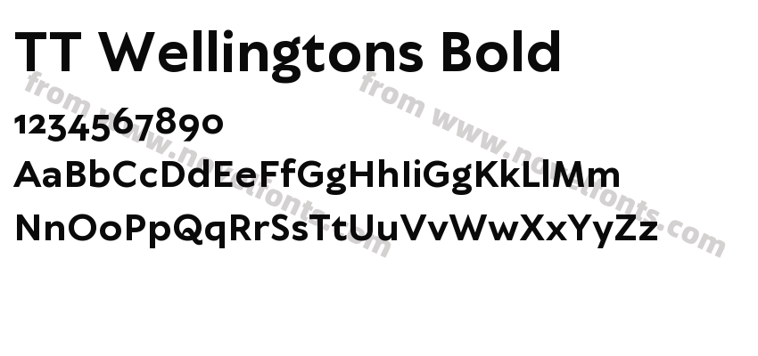 TT Wellingtons BoldPreview