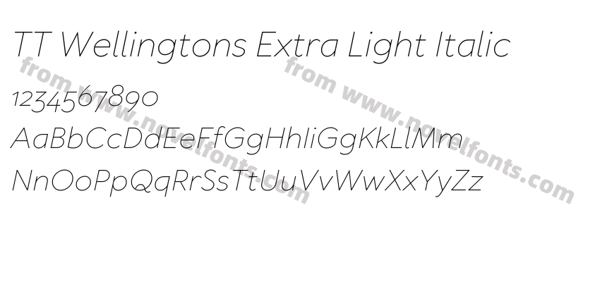 TT Wellingtons Extra Light ItalicPreview