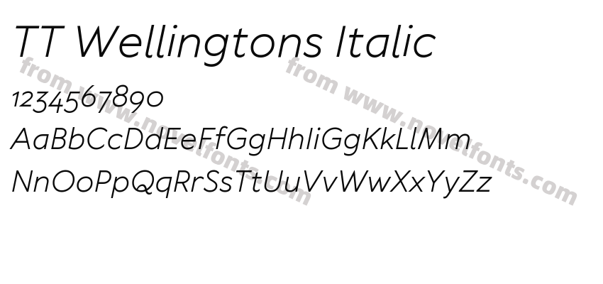 TT Wellingtons ItalicPreview