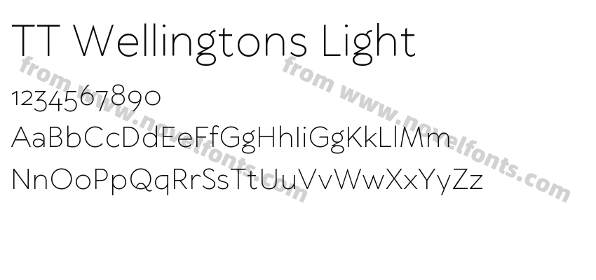 TT Wellingtons LightPreview