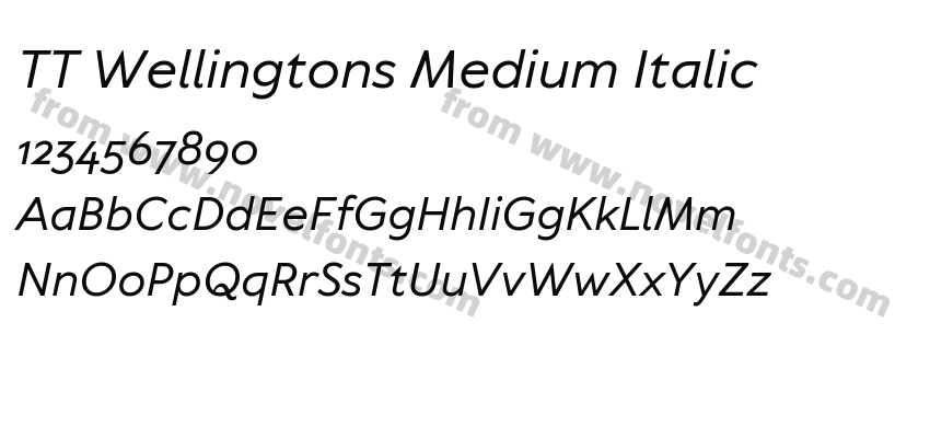 TT Wellingtons Medium ItalicPreview