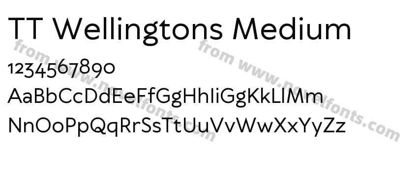 TT Wellingtons MediumPreview