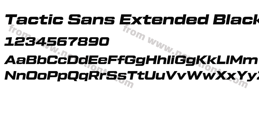 Tactic Sans Extended Black ItalicPreview