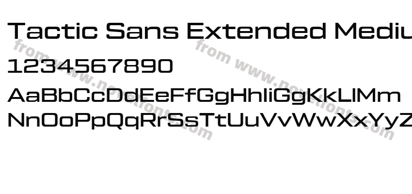 Tactic Sans Extended MediumPreview