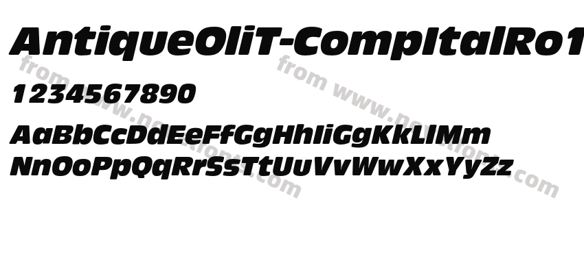 AntiqueOliT-CompItalRo1Preview