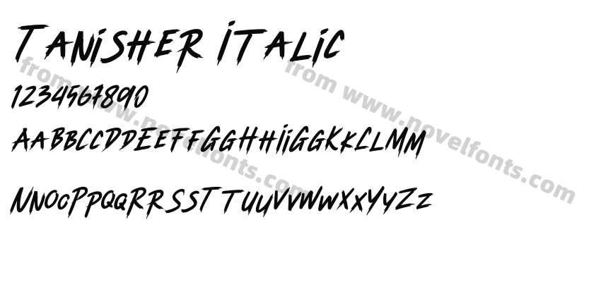 Tanisher ItalicPreview