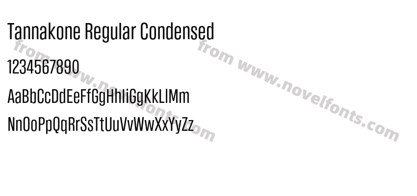 Tannakone Regular CondensedPreview