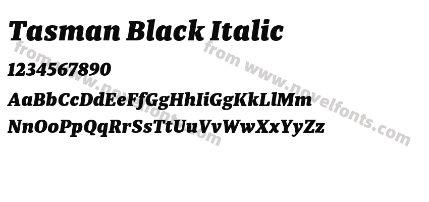 Tasman Black ItalicPreview