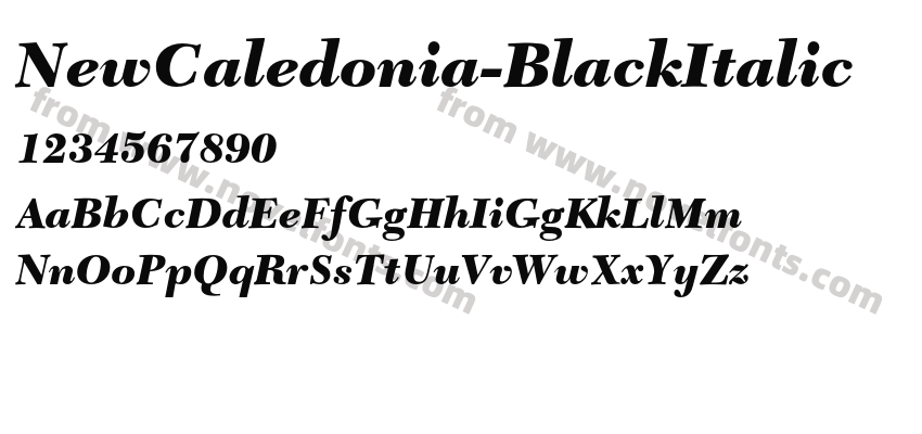 NewCaledonia-BlackItalicPreview