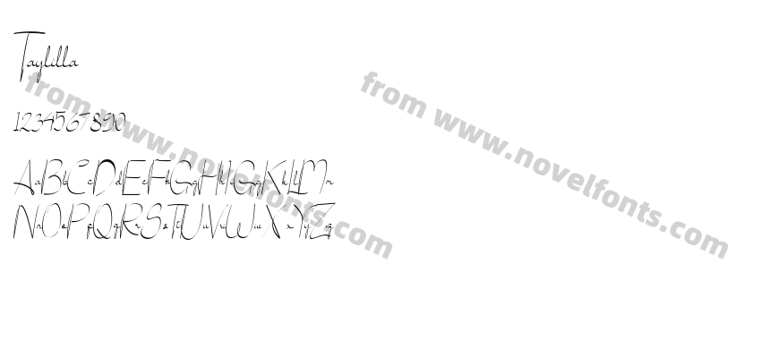 TaylillaPreview