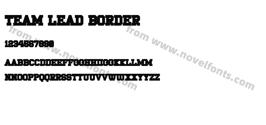 Team Lead BorderPreview