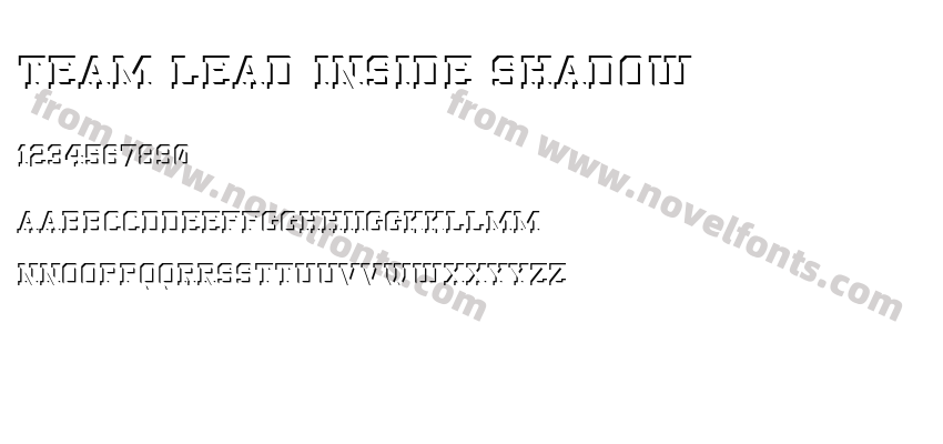 Team Lead Inside ShadowPreview
