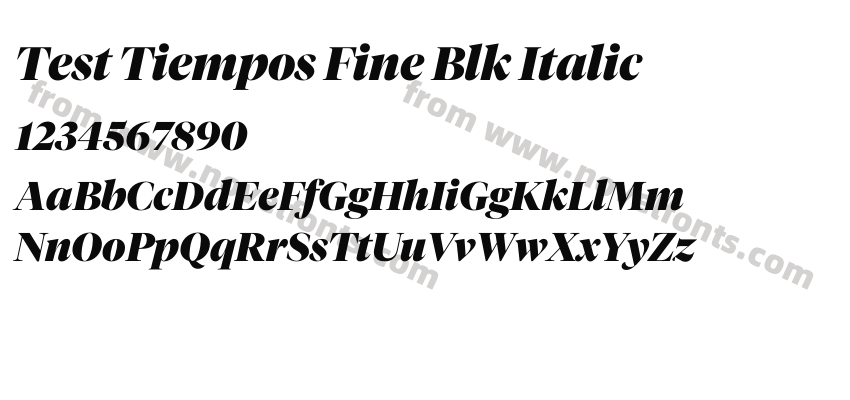 Test Tiempos Fine Blk ItalicPreview
