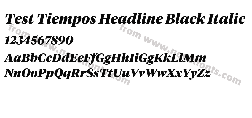 Test Tiempos Headline Black ItalicPreview