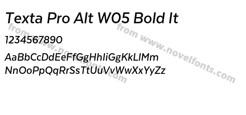 Texta Pro Alt W05 Bold ItPreview