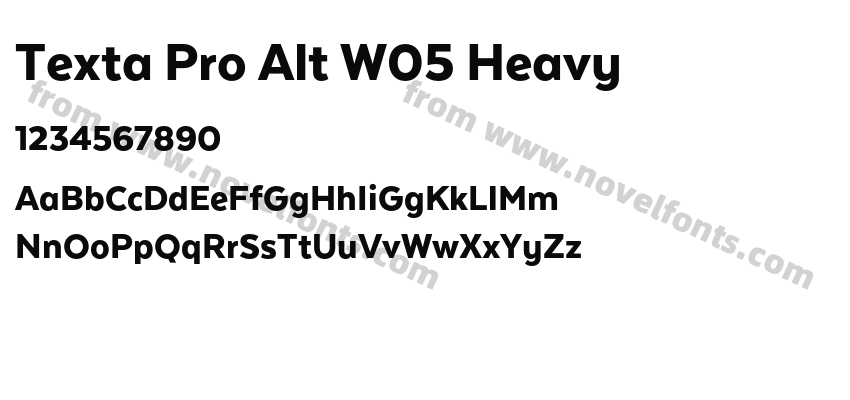 Texta Pro Alt W05 HeavyPreview