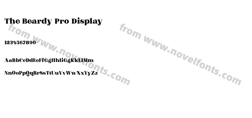 The Beardy Pro DisplayPreview