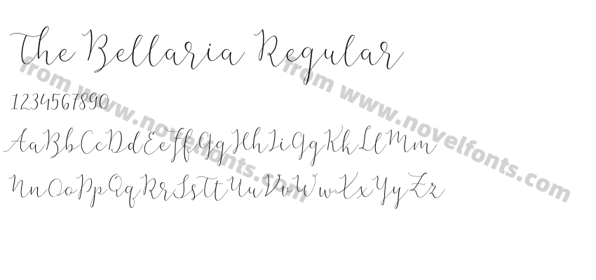 The Bellaria RegularPreview