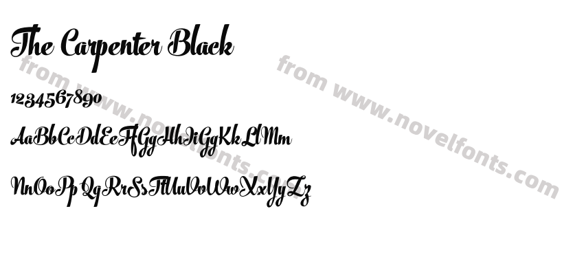 The Carpenter BlackPreview