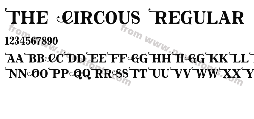The Circous RegularPreview