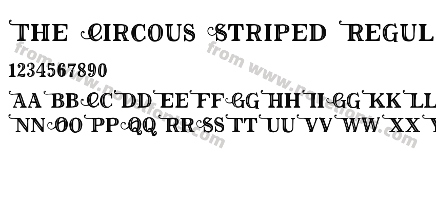 The Circous Striped RegularPreview