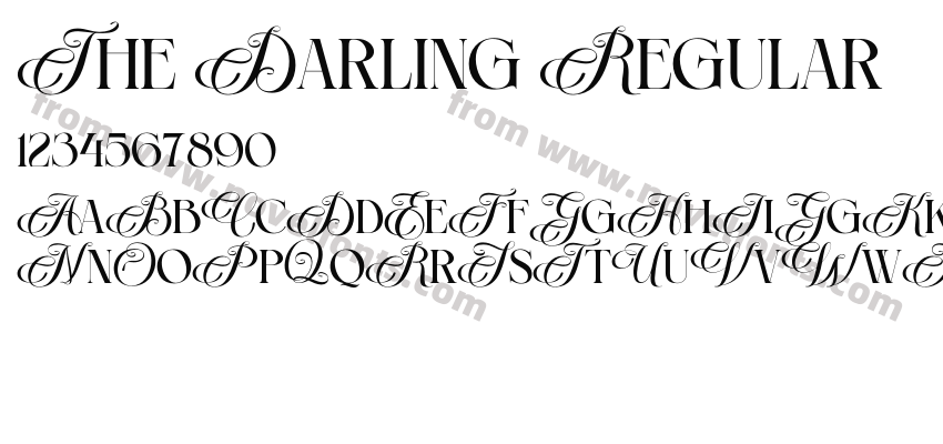 The Darling RegularPreview