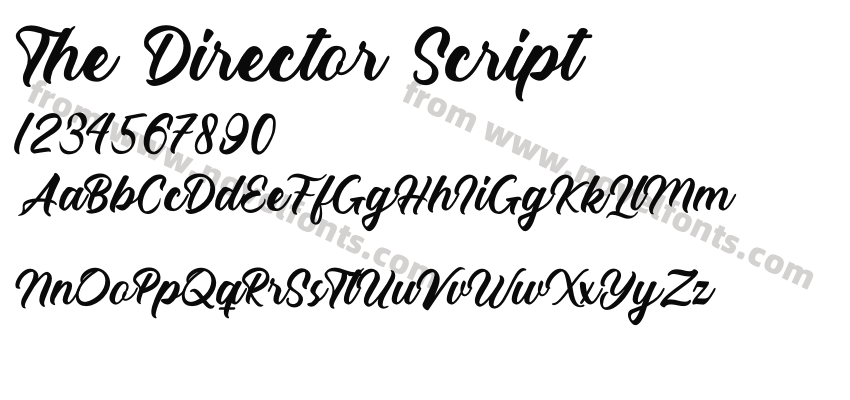 The Director ScriptPreview
