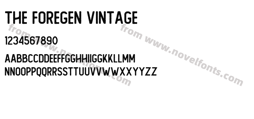 The Foregen VintagePreview