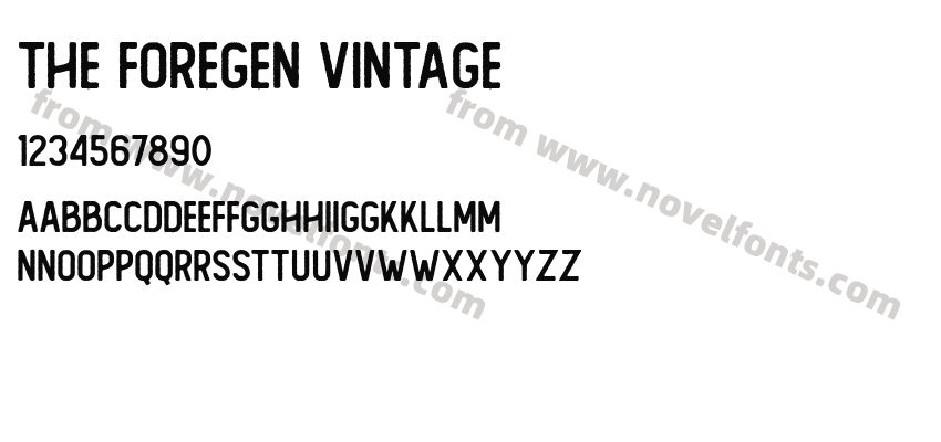 The Foregen VintagePreview