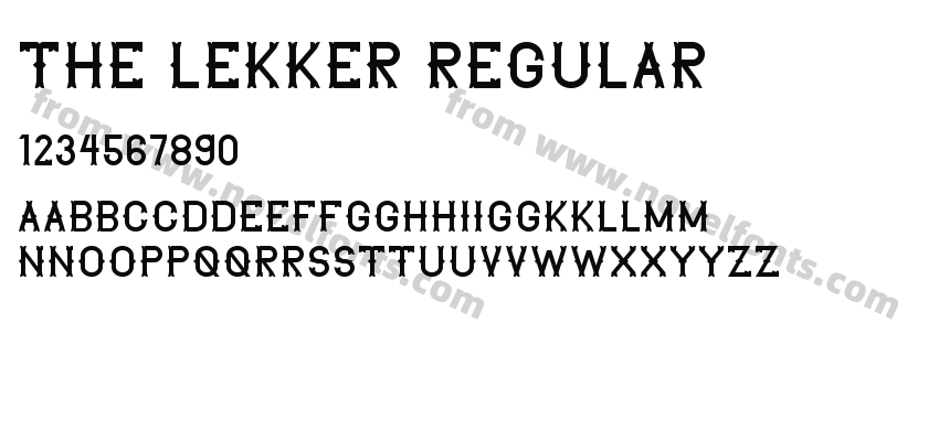 The Lekker RegularPreview
