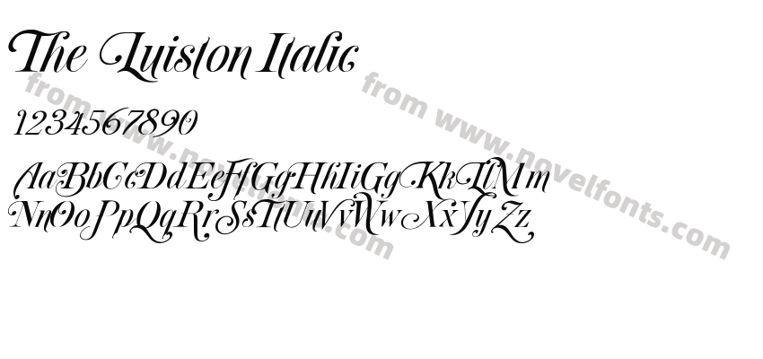 The Luiston ItalicPreview