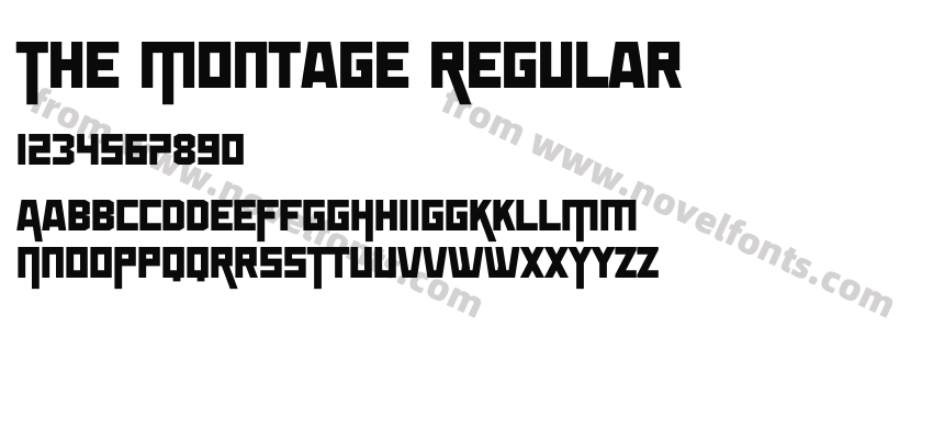 The Montage RegularPreview
